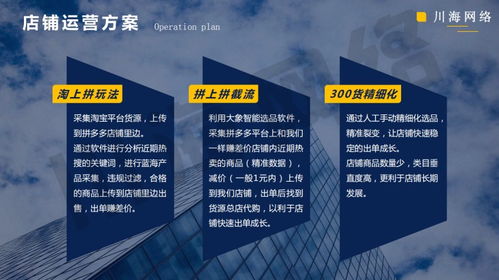 陜西拼上拼軟件貼牌 大象采集與精細(xì)化運(yùn)營助力拼多多代運(yùn)營新高度