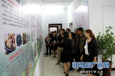 駐馬店市首個(gè)國家級(jí)'星創(chuàng)天地'在上蔡縣揭牌，助力農(nóng)業(yè)信息咨詢與創(chuàng)新發(fā)展